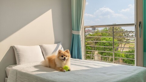 영덕 1월과2월 펜션