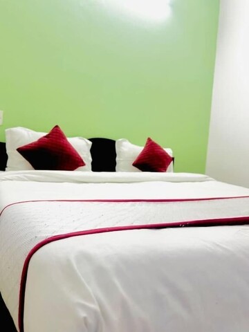 엔젤 파라다이스