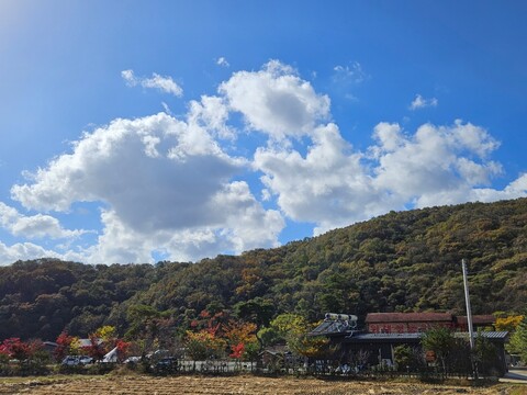 천안 위례성캠핑장