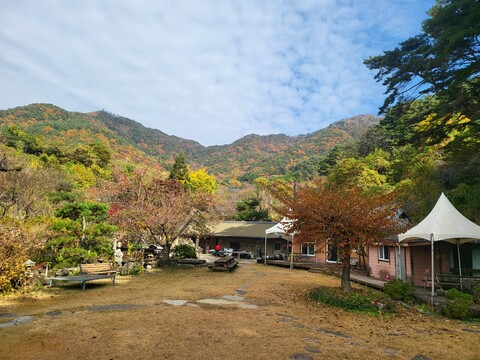 하동 산골매실펜션