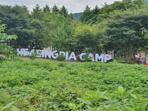 가평 힐링피아풀카라반글램핑