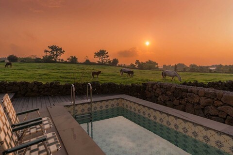 제주 봉성노을담 풀빌라