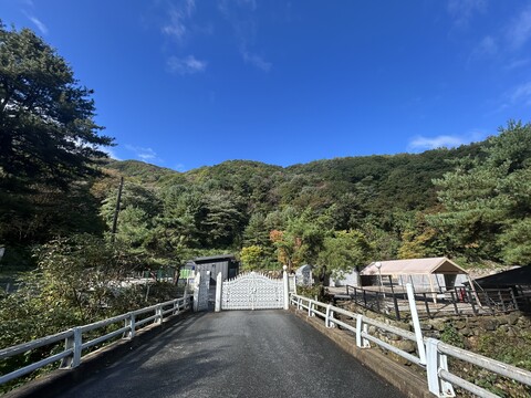 가평 오케이캠핑장