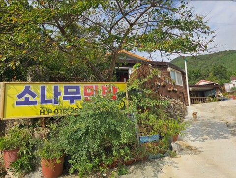 완도(청산도) 소나무펜션