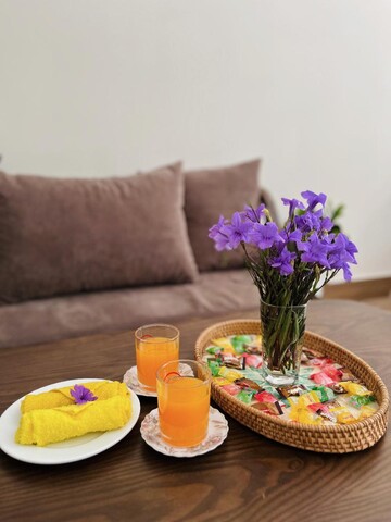 케미 하우스 호이 안