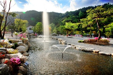 가평 또올래캠핑장