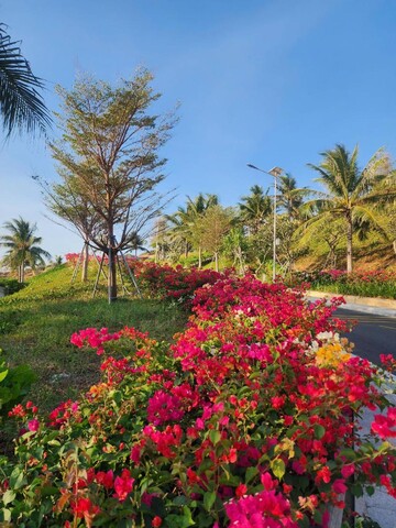 만달라 콘도텔 MN