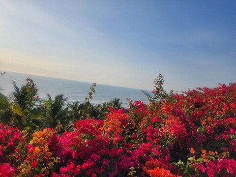 APEC 무이네 오션뷰