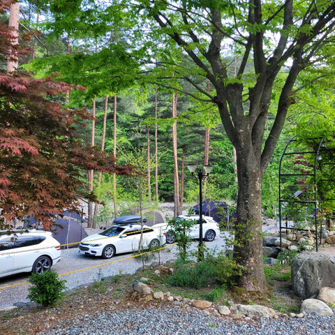 양양 우니메이카(양양)