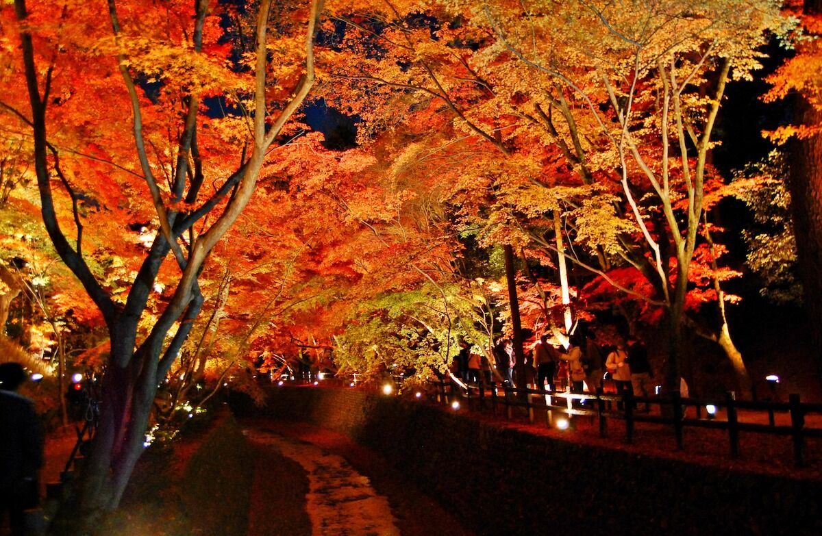 여행 상품 이미지