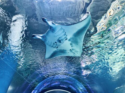 product-thumbnail-4