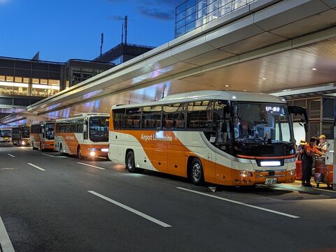 도쿄 교통·패스 - 하네다 공항 ↔ 신주쿠/이케부쿠로 공항 리무진 버스 (심야/새벽)