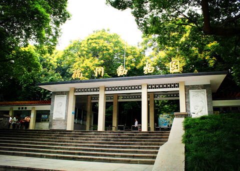 항저우 티켓·입장권 - 항저우 동물원 입장권