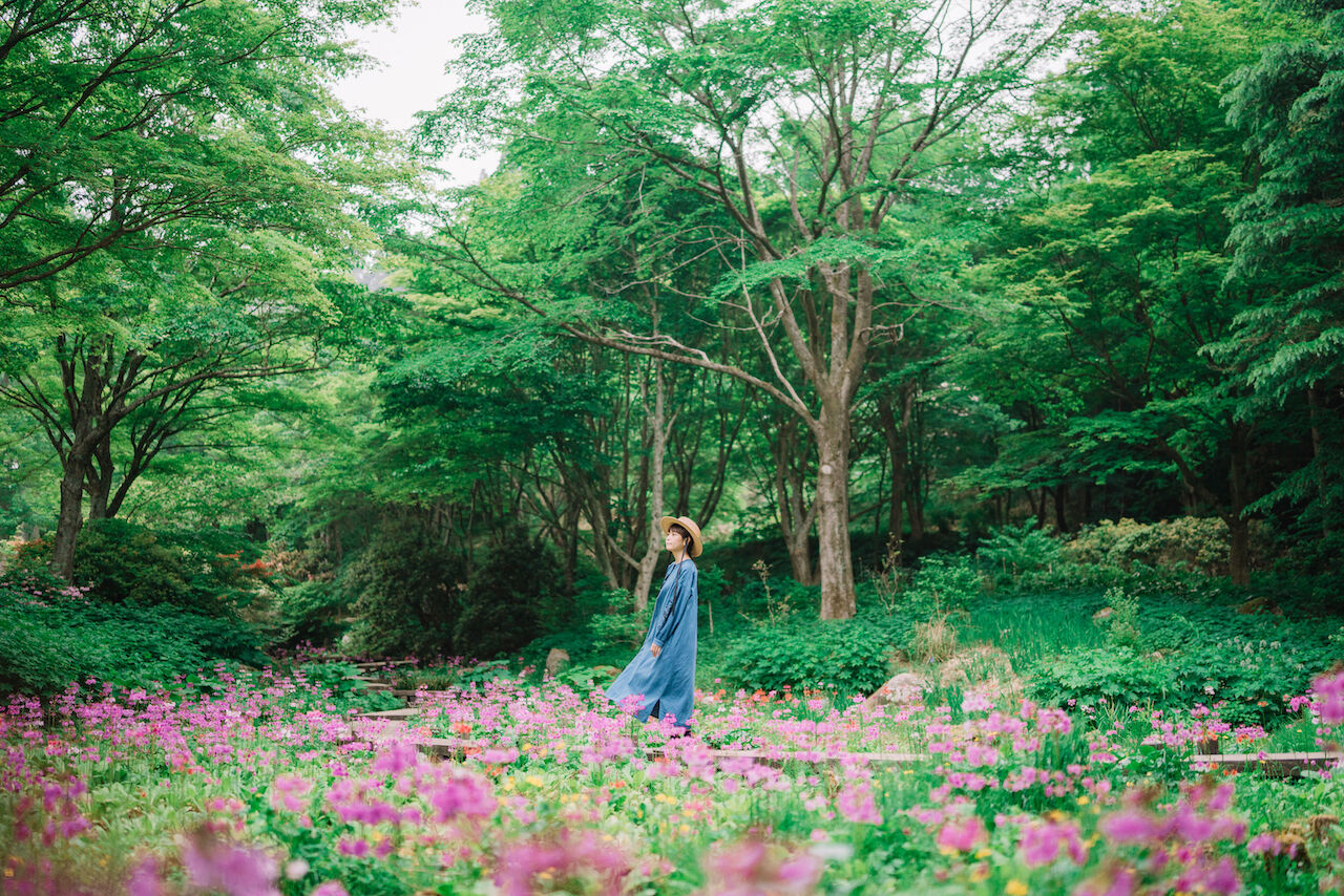 롯코고산 식물원 입장권 (고베)