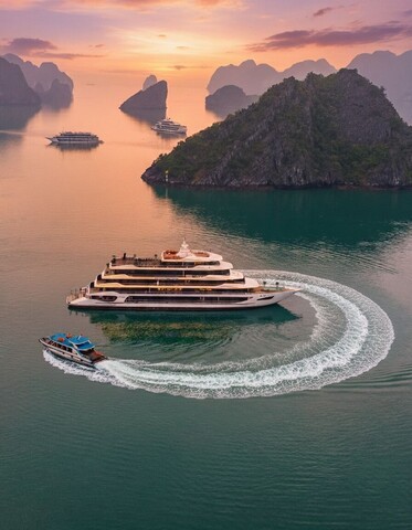 할로라 노바 크루즈