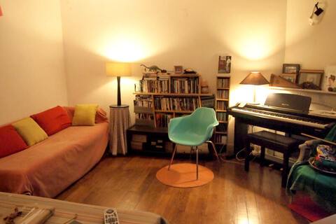 니스 돌고래 게스트하우스