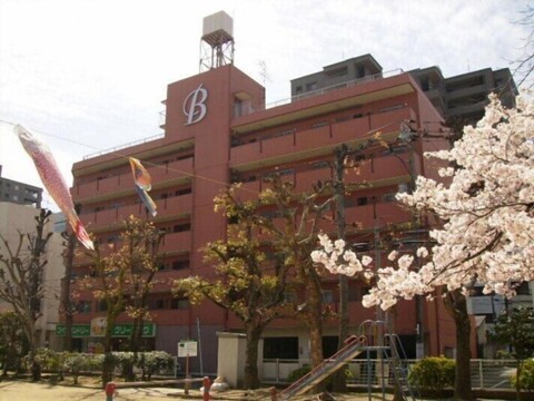 Alphabed Okayama Momotaro-Dori