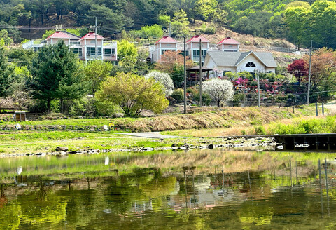 화천 알프스펜션