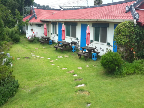 완도청산도솔바다