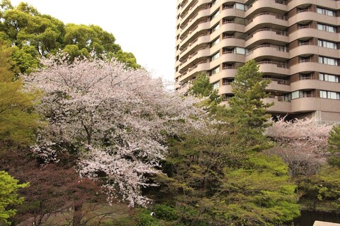 도쿄 메리어트 호텔
