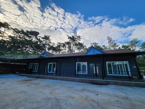 창녕 우포의숲속