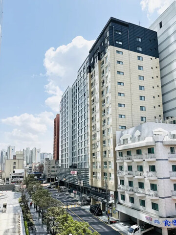 제주 매종드킴 청안호텔