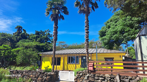 서귀포 낭그늘펜션