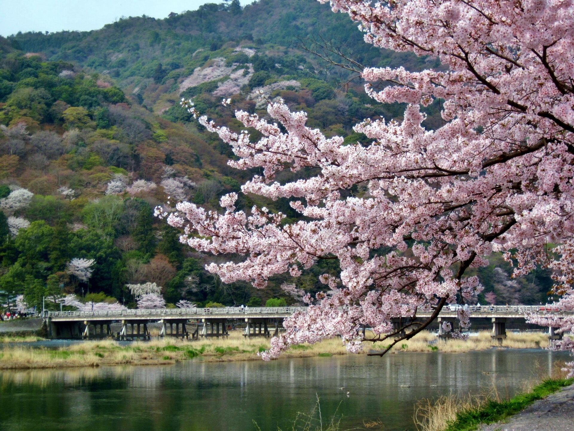 투어·티켓 상품 상세 이미지 8