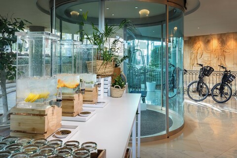 바르셀로 이예타스 알바트로스 - 어른 전용