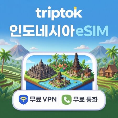 인도네시아 전지역 발리 eSIM e심 데이터-i