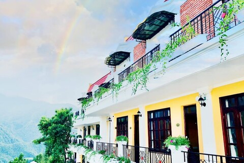 캣 캣 갤러리 다르