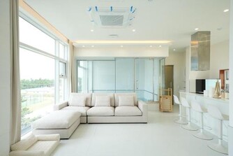 강릉 퍼피 도그 풀 빌라