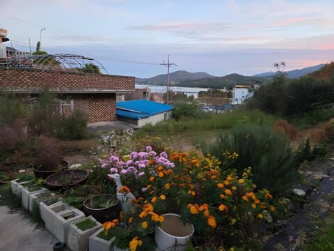 삼척 시골민박 펜션