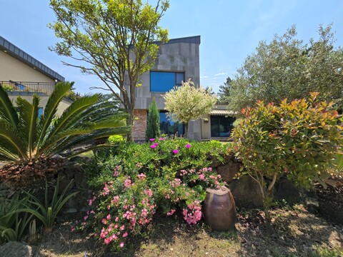 제주 테리하우스