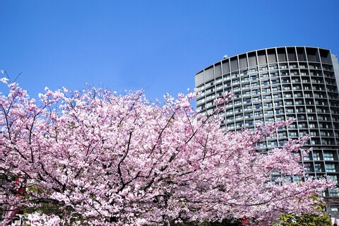 호텔 그랜드 아크 한조몬
