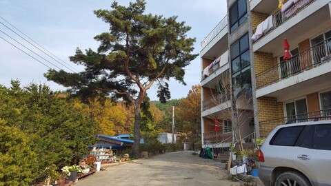 옹진 소나무황토빌펜션