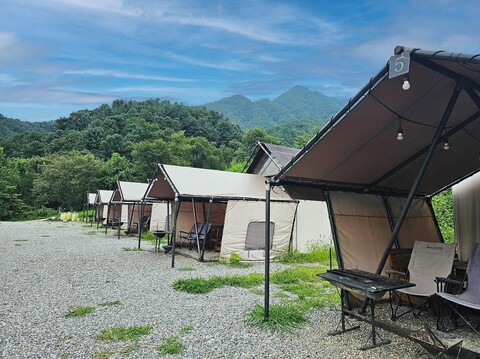 가평 산으로 간 니모 글램핑캠핑장