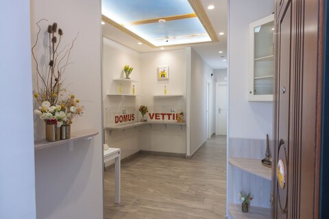 B&B 도무스 베티이