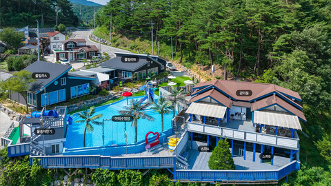 강릉 연인들의사랑이야기