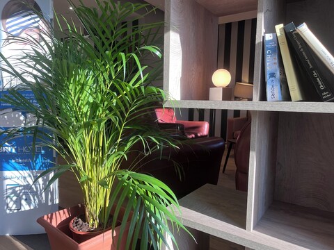 브릿 호텔 바이에 앙 프랑스