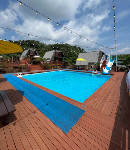 용인 세모난나무