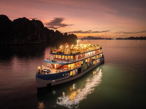 사이캐드 크루즈