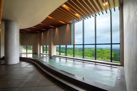 소노펠리체 델피노