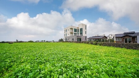 서귀포 산방산에머물다펜션