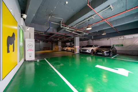 수원(인계동) Jungle(정글)