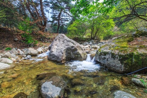 양평 보석상자펜션