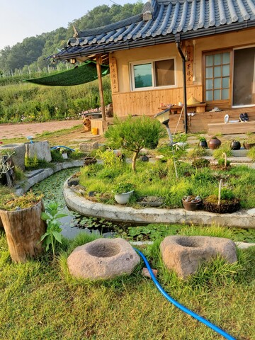 안동 금서산방 민박