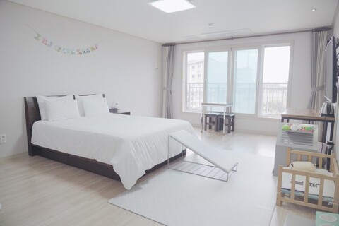 제주 애견전문 엔젤하우스