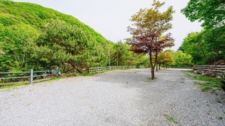 가평 코끼리글램핑펜션