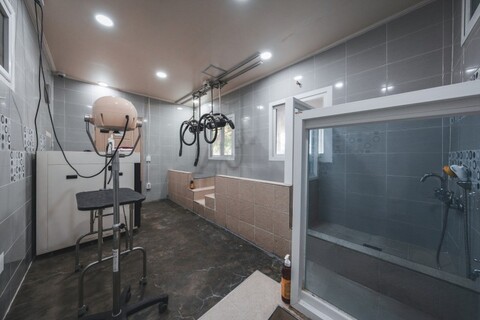 강화도 어나더153애견펜션